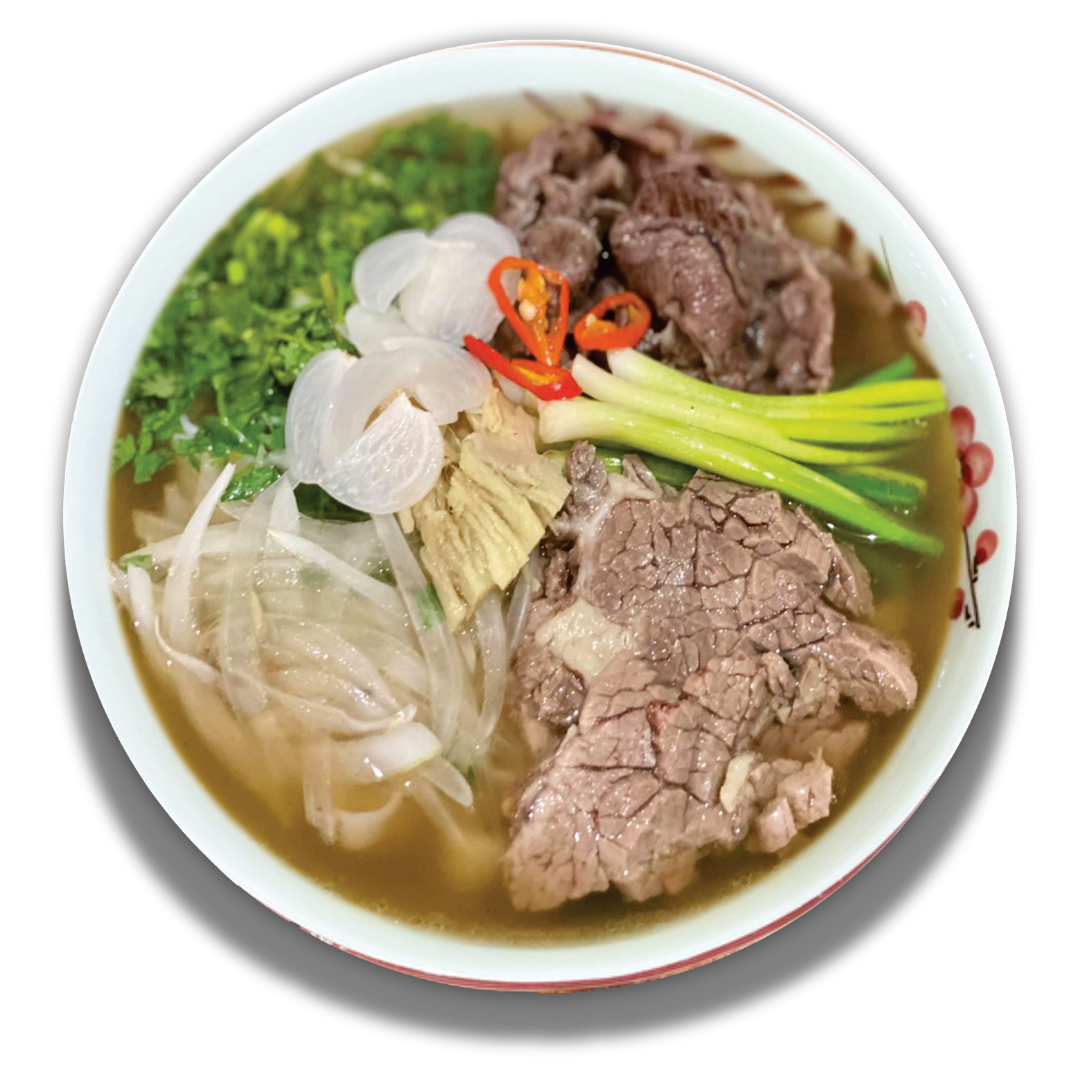 Pho Hanoi Special